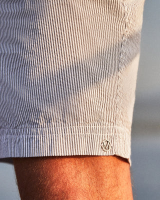 Los Shorts Seersuckers