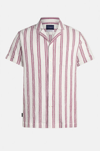 Palmas * La Camisa de Verano